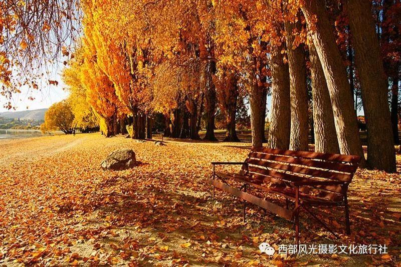 天津圣爱肛肠医院肛肠科讲述:肛门异物感是什么?可能是这些疾病在“拔尖”